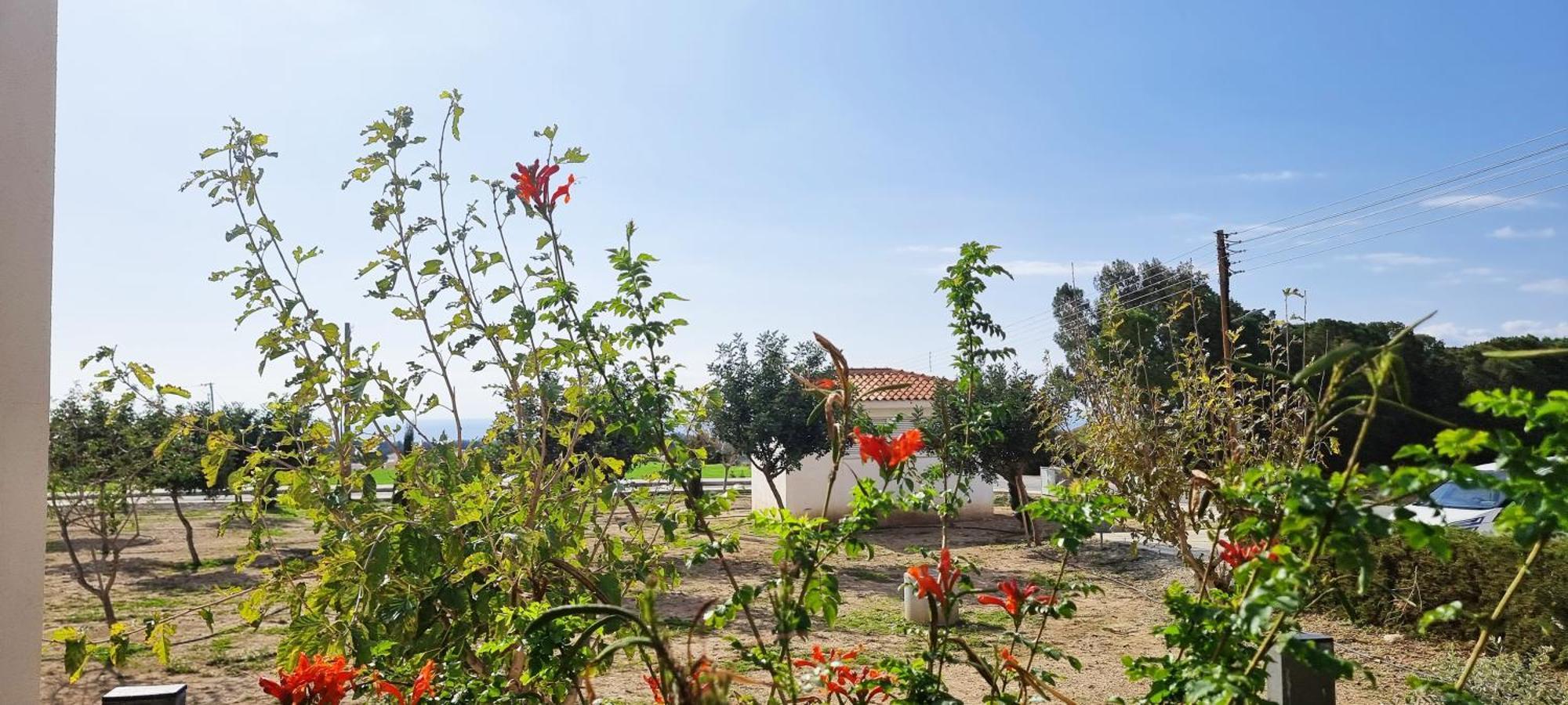 Shanti Paphos Villa Buitenkant foto