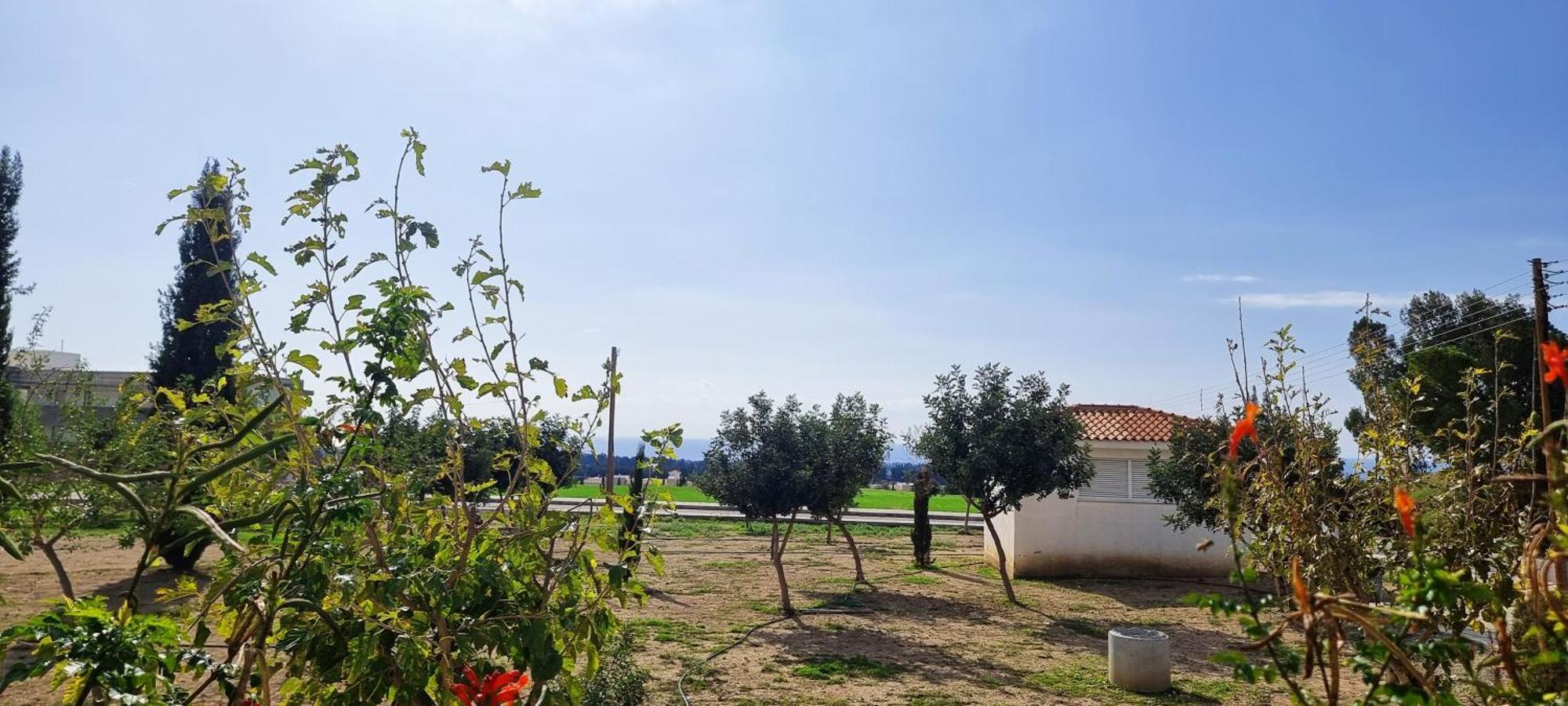 Shanti Paphos Villa Buitenkant foto